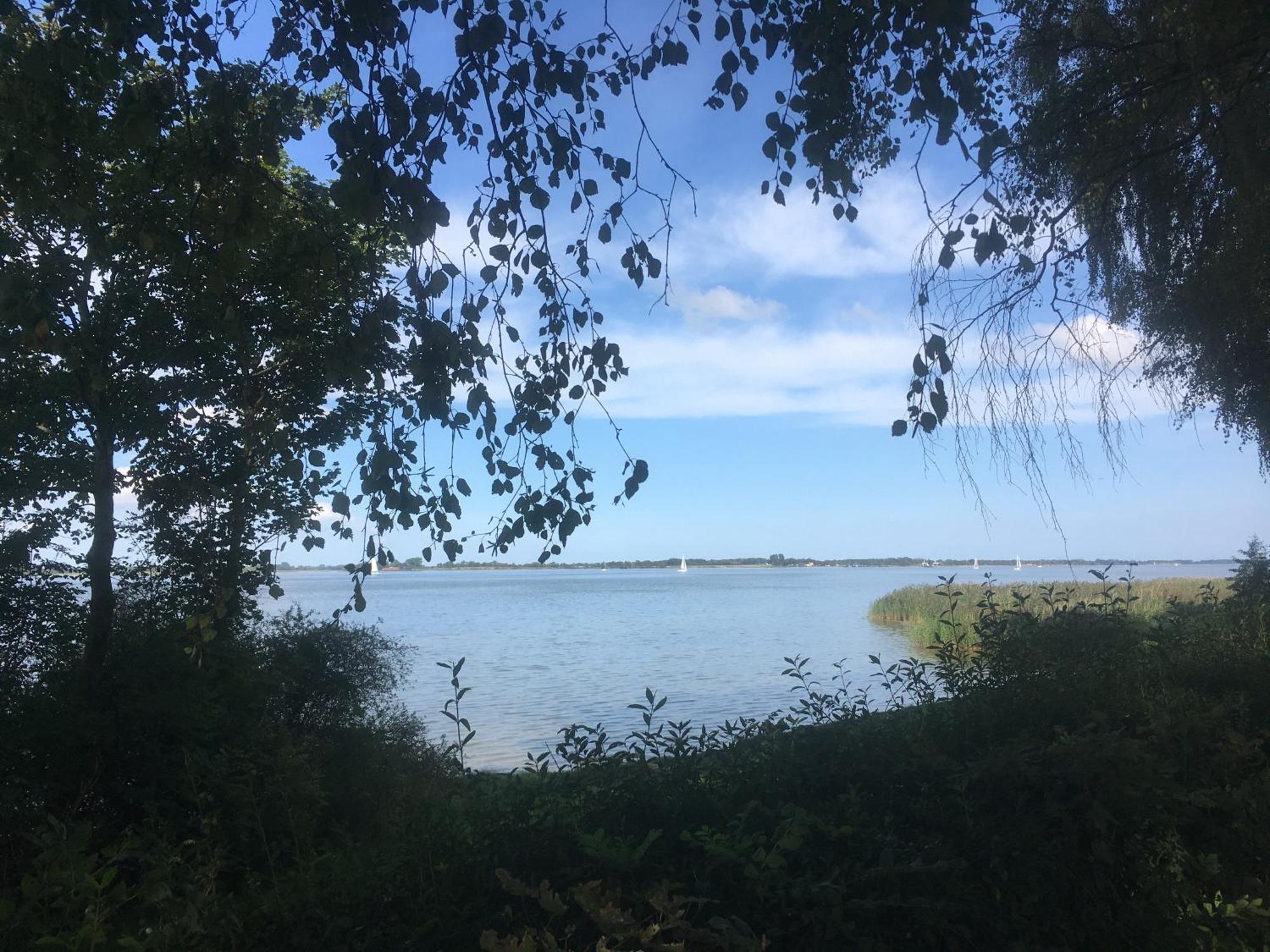 Ferienwohnung Am Strelasund Sundhagen-Niederhof Екстериор снимка